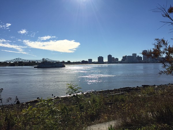 View of Downtown from Crescent Park in the Bywater