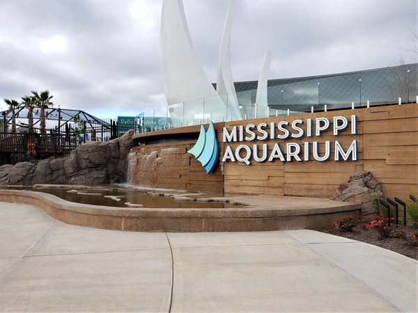 Did you know the MS Aquarium has many holiday attractions, but you can stay warm, and dry