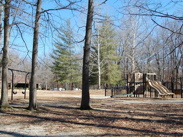 Ditto Landing - Playground area