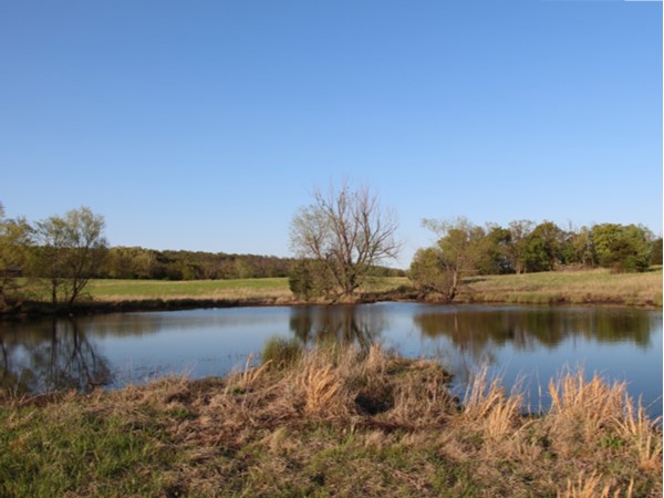 Pond fishing and country living, doesn't get much better than this.  Cattle, horses and Oklahoma