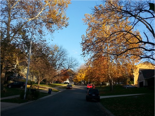 Tree lined streets at Greystone West