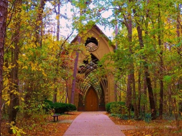 What a beautiful venue to get married - even during the fall