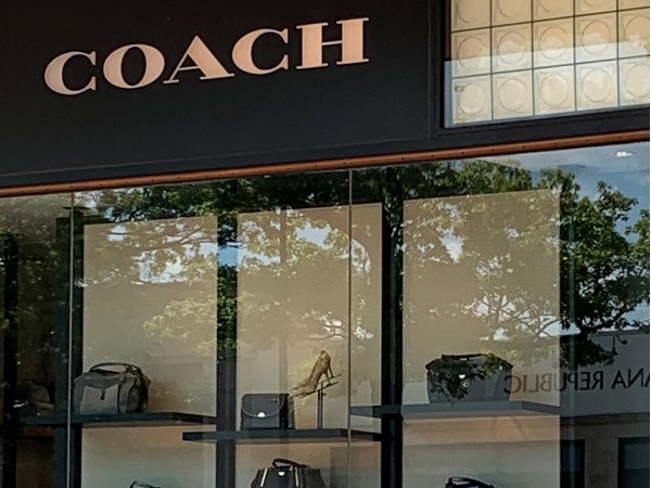 Get your handbag and accessories at Coach
