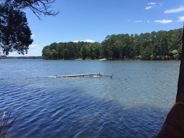 Thinking of retiring in the Shoals area? We have the greatest lakes in Alabama