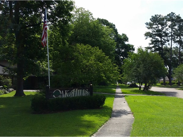 Oak Hills subdivision is a great estabilished neighborhood off of Seigen and Perkins