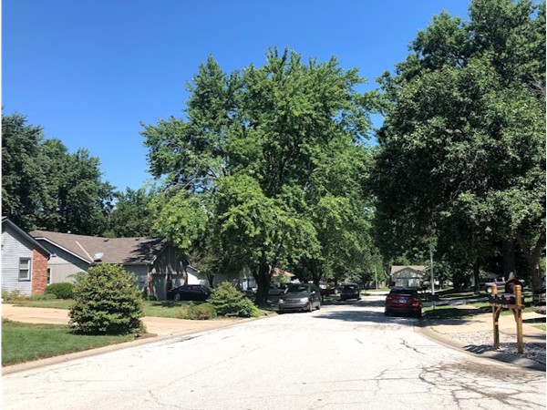 The well-maintained neighborhood of Indian Meadows