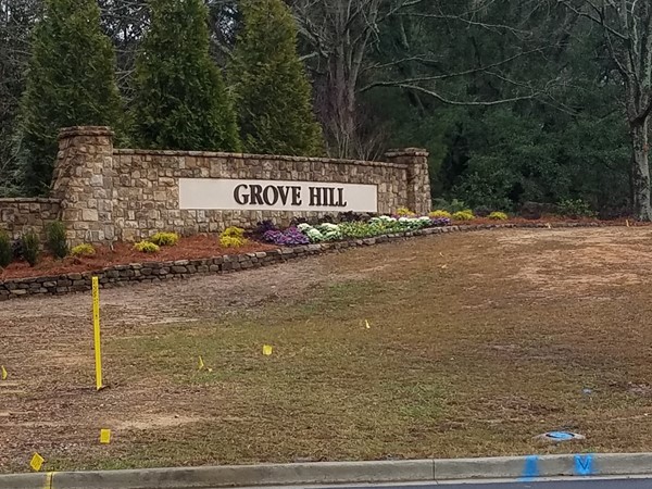 Welcome to Grove Hill