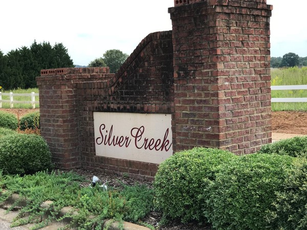 Silver Creek is a terrific swim community