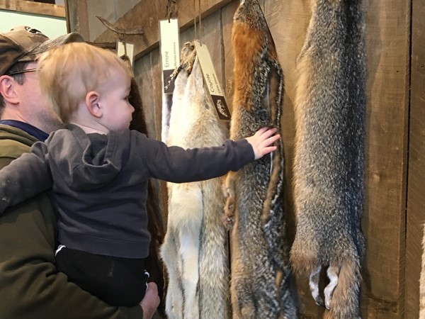 Could you ever touch a fox?  You can feel fox fur at the Outdoor Discovery Center 