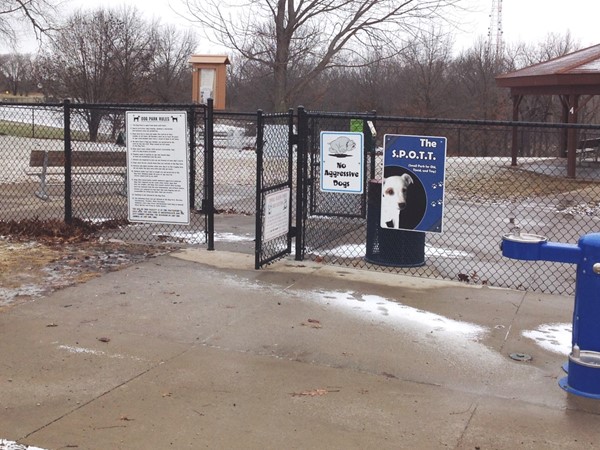 No matter what the weather your furry friends will enjoy the dog park