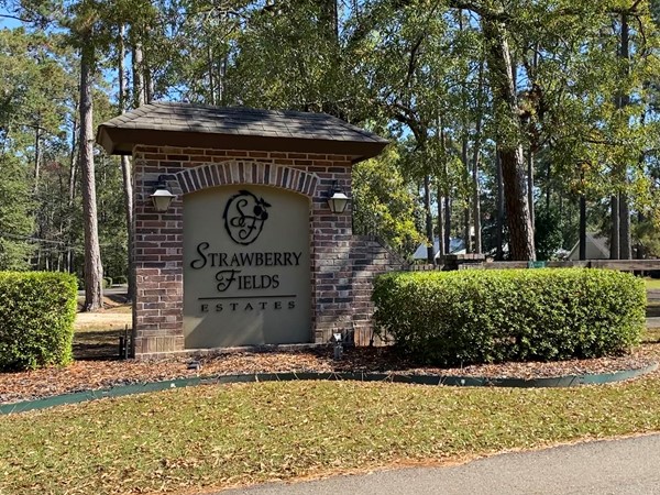Private neighborhood located near downtown Ponchatoula 