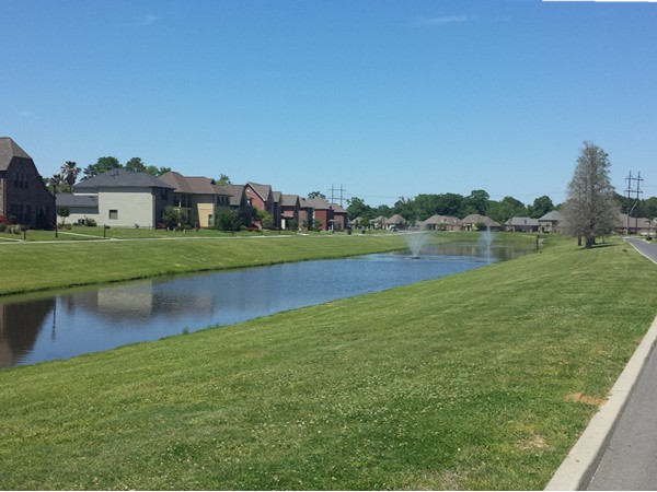 Another view of neighborhood pond