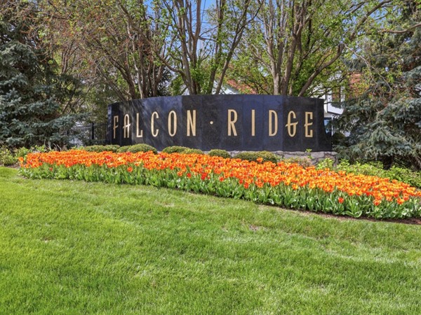 Falcon Ridge: Where luxury living meets everyday comfort in Lenexa