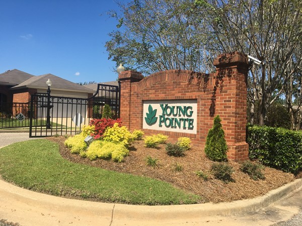Young Pointe is a wonderful neighborhood in the Montgomery area 
