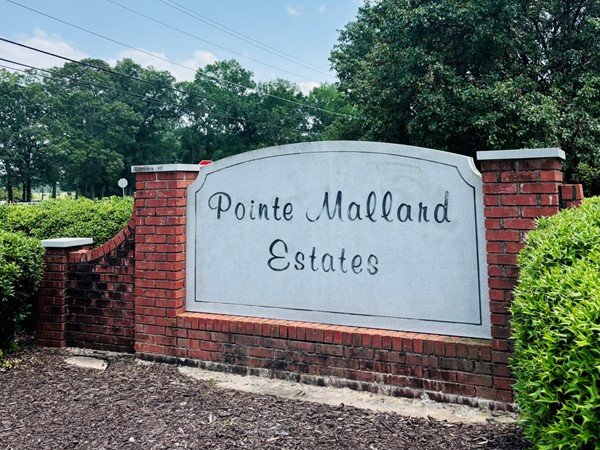 Pointe Mallard Estates is lovely place that surrounds itself with community involvement