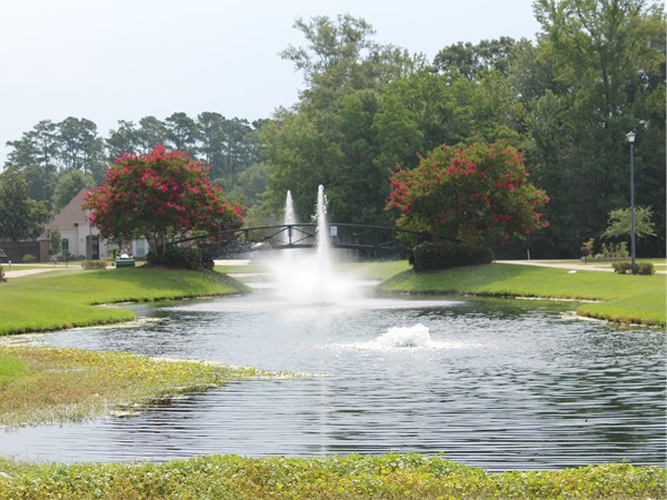 Enjoy the tranquil sounds of falling water in Audubon Lakes
