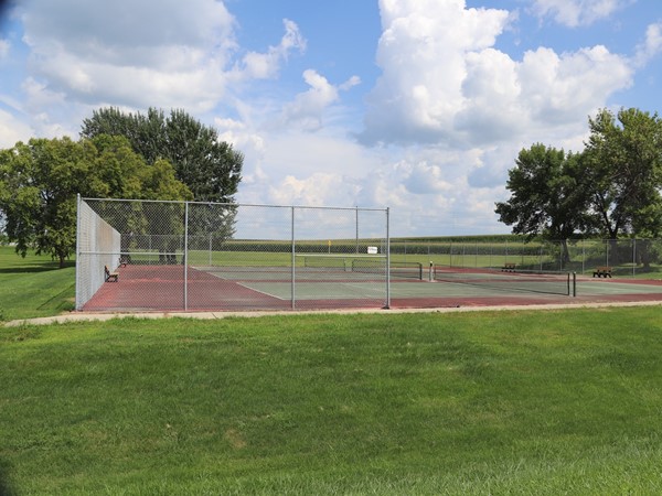Pickle ball, badminton, or tennis? Hudson has some great, free public courts