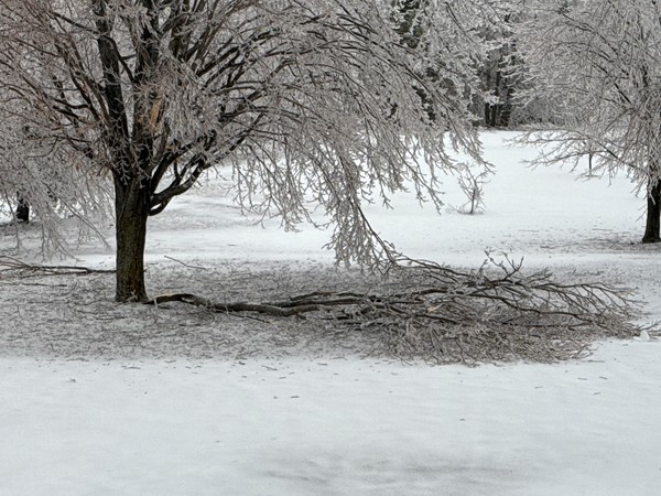 Ice storm 2025