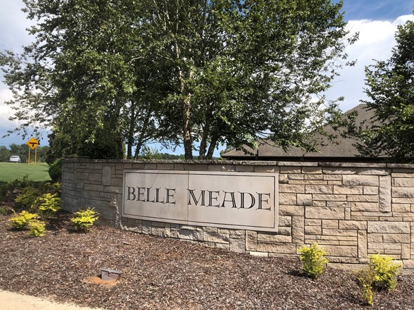 Belle Meade neighborhood in Huntington school zone