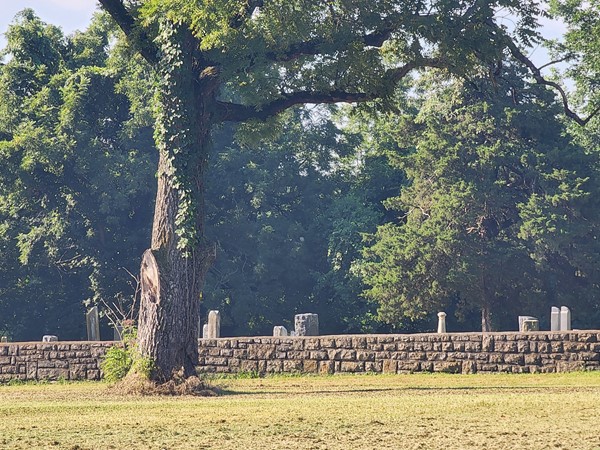 Clemson's company soldiers and the US Rifle Regiment are believed to be buried here