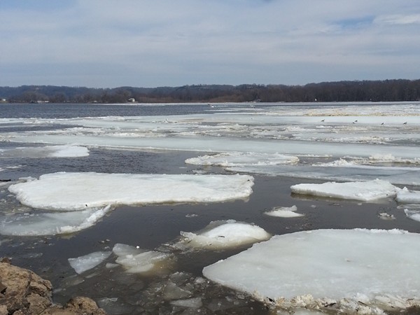 Mighty Mississippi preparing for warmer weather...ice chunks breaking up