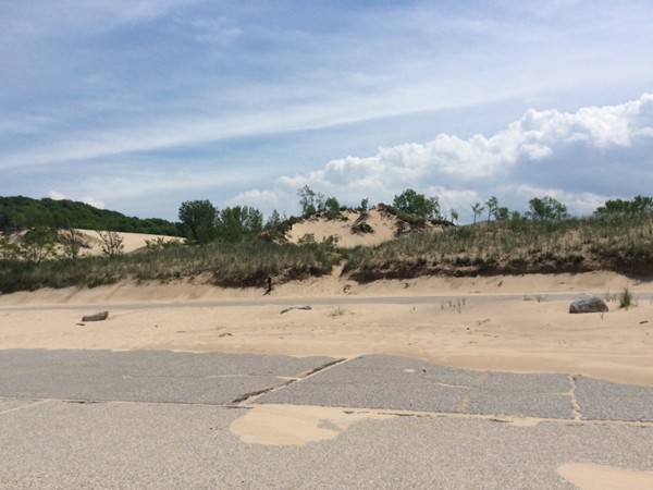 The dunes at Warren Dunes State Park start right at the parking lot