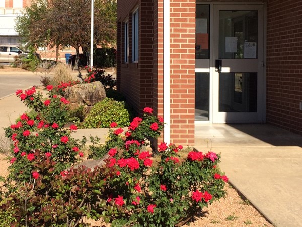 Atoka Post Office's red roses welcome patrons 