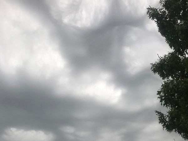 Cool looking clouds rolling by above Dog Days! Stay safe out there
