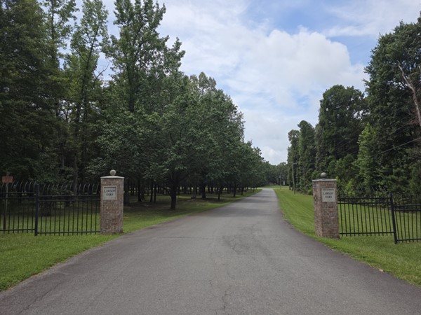 Lawson Oaks offers space and privacy with larger lots in Saline County