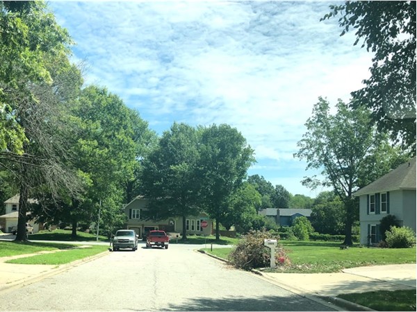 The lovely neighborhood of Sheridan Park