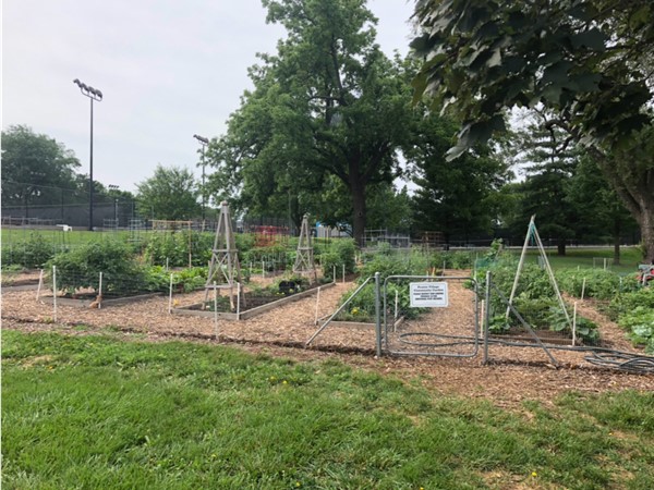 Prairie Village community garden for individual plot holders at Austin Harmon Park
