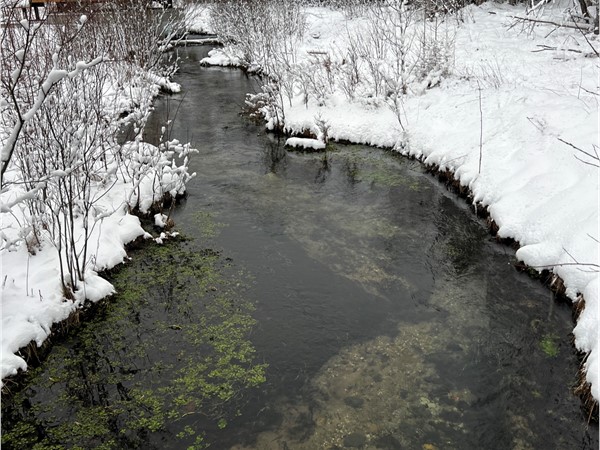 Live springs keep the ponds and rivulets open. Groomed trails make this a wonderland to explore