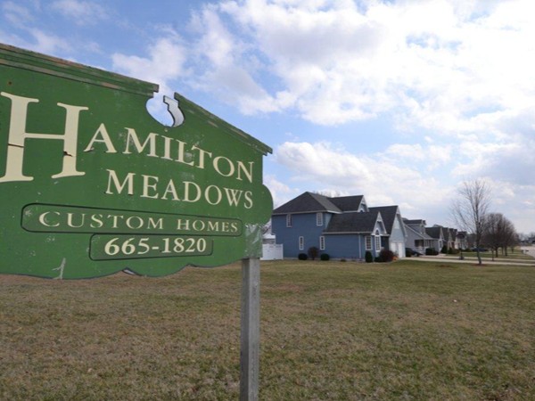 Desirable Hamilton Meadows Subdivision