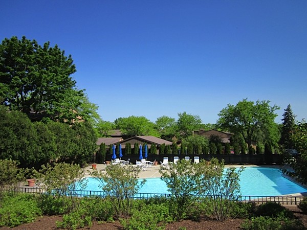 The beautiful solar heated in-ground swimming pool at Earhart Village 