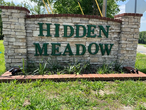 Hidden Meadow Subdivision in Branson, MO