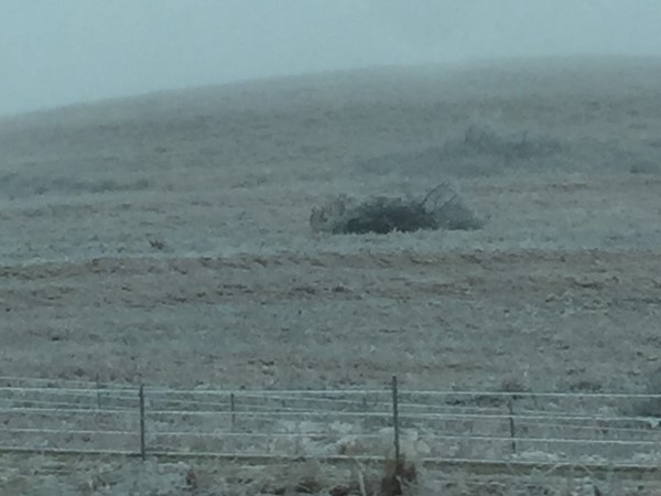 Icy weather in the Flint Hills of Kansas
