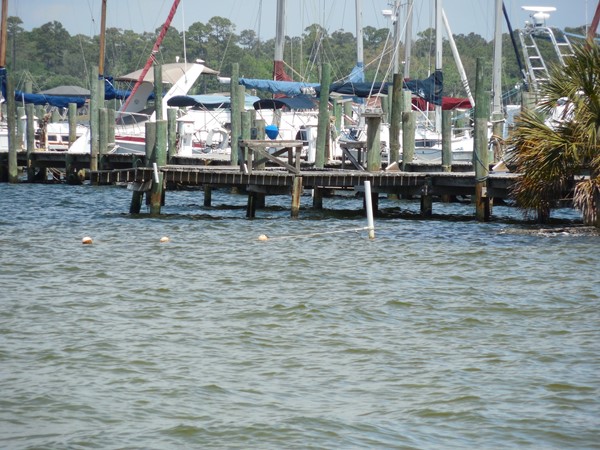 Fishing pier and swim area