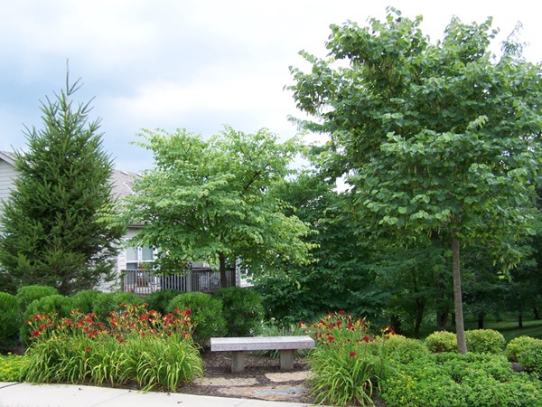 Landscaped common area developed as a conversation area and maintained by the HOA