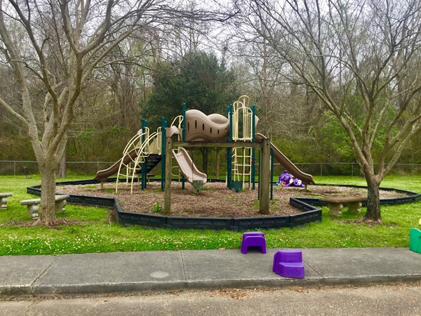 Playground at Woodstone Park