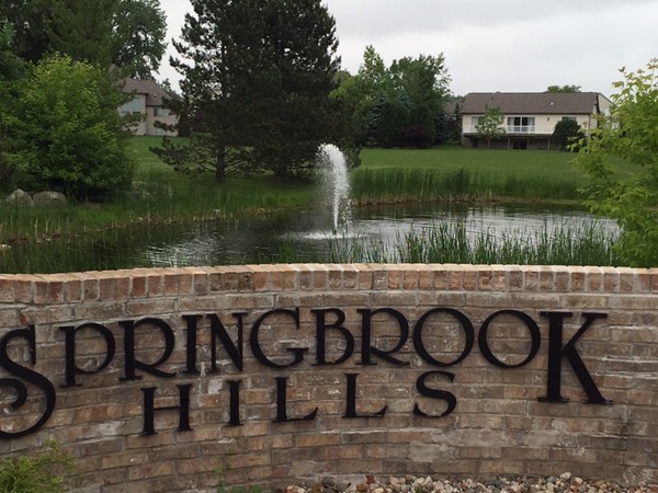 Beautiful Springbrook Hills subdivision in Dewitt Schools