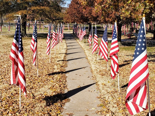 Flags line the walk at City Park to honor our Veterans