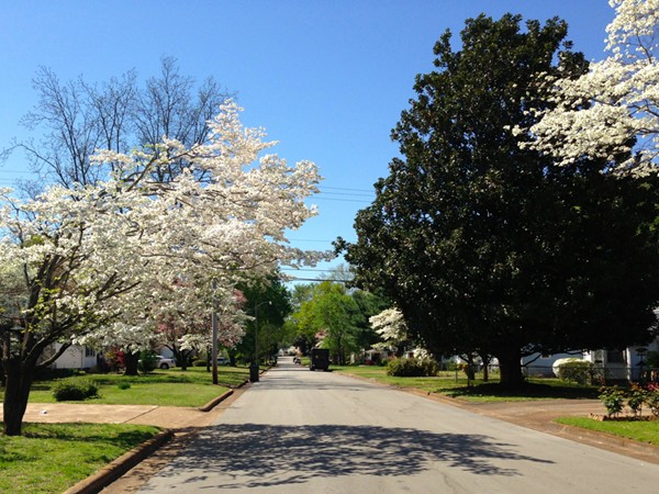 Mayfair Park- Great historic area in Huntsville