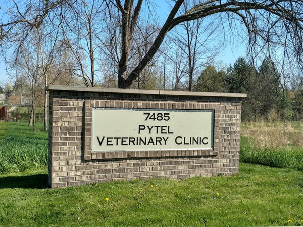 Local veterinarian in town