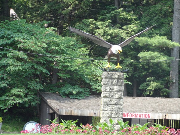 Large Eagle sculpture at Eagle Point Park