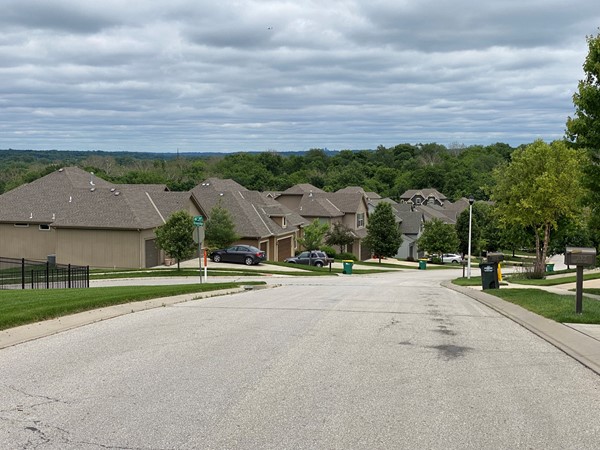 Street view of Riverview