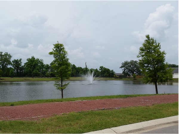 Lake and fountain in The Preserve at Harveston