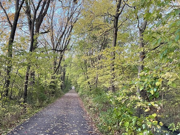 Leaves are turning on the South Main Trail as people enjoy cooler weather while getting outside