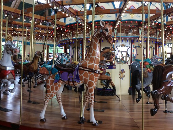 My favorite! A beautiful carousel giraffe on the Silver Beach Carousel  