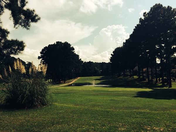 How about a round or two at the beautiful greenery of Bay Pointe's Golf Course!