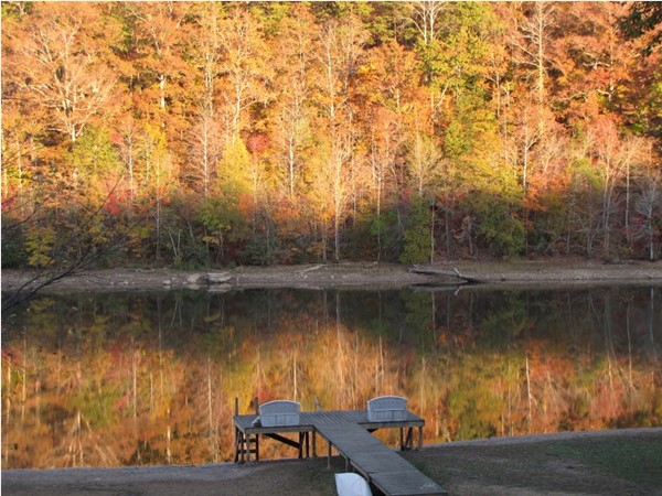 This is what fall looks like on Lake Wedowee!  Come see the beauty in Wedowee, Alabama